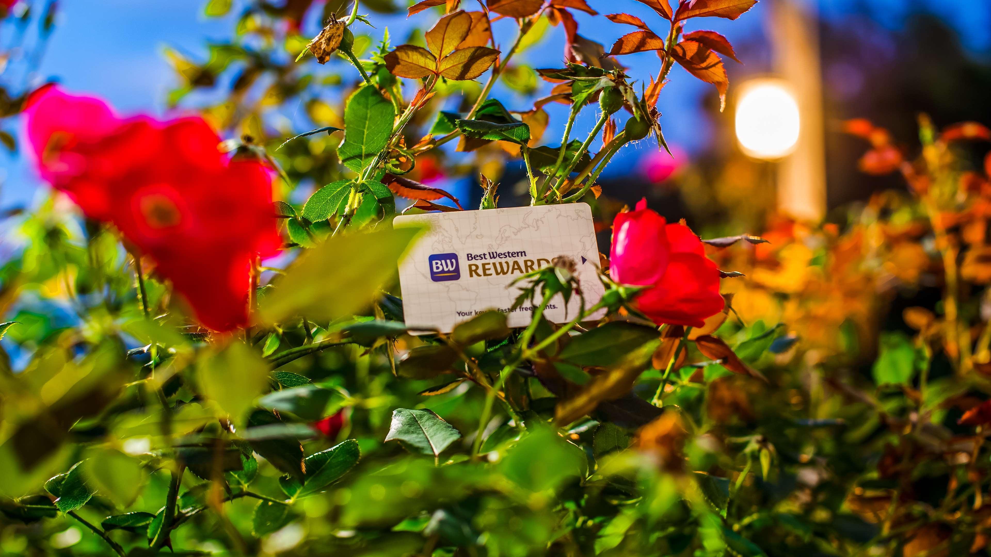 Best Western Plus River Escape Sylva / Dillsboro Kültér fotó